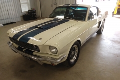 1966 Shelby GT350